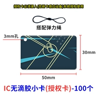 100 не -кроточная маленькая карта [IC] Карта авторизации