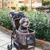 Pedeo Pet Stroller 309P-Three-wheeled out-of-the-air Breathable Folding Kitty Dog Medium Dog Coffee