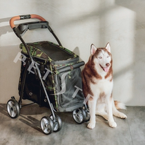 Pedeo Pet Car 903 New Total Aluminum Tube Light Weight Low Chassis Large Space Middle Dog Cat Folding Camouflate