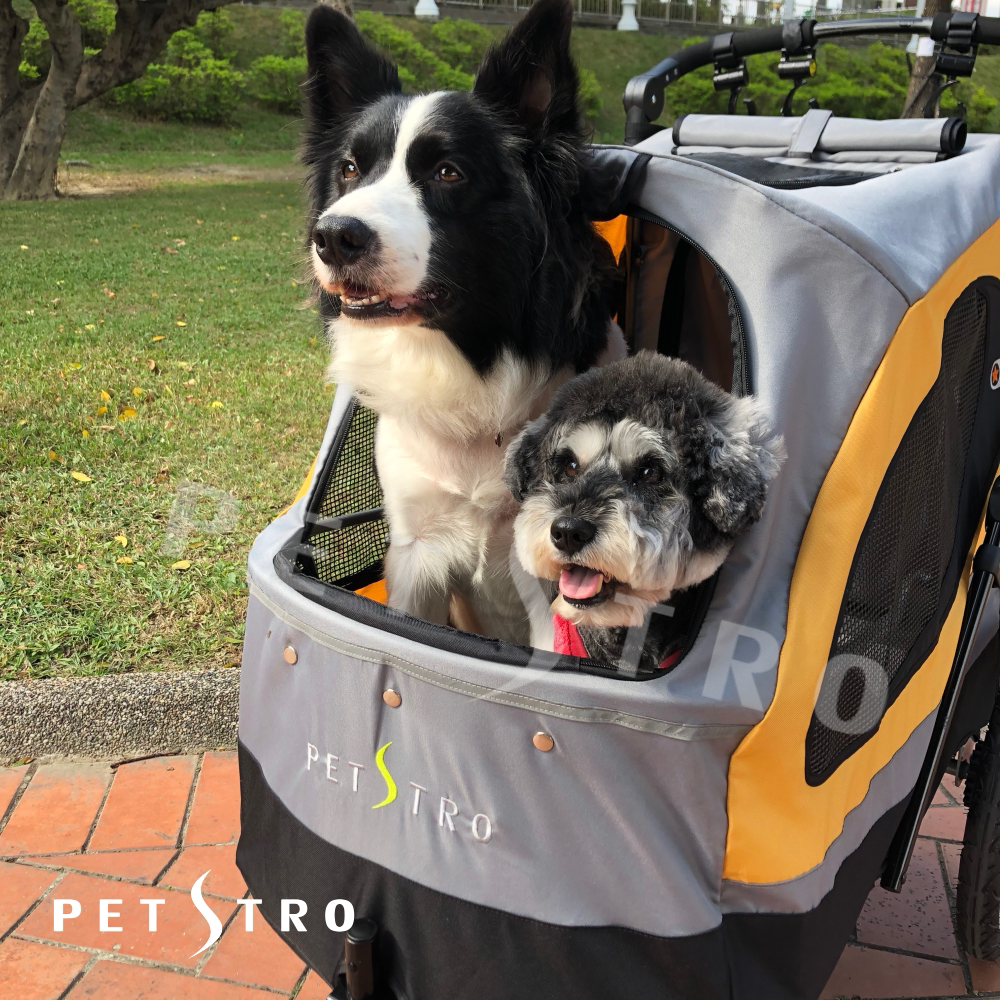 Pedeo 2020 brand new color 701GC pet stroller-load bearing 45 kg folding large dog cart Kim Mao Silan Wong