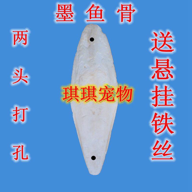 Pet bird special grinding disinfection calcium cuttlefish bone Sea urchin Budgerigar cuttlefish bone 