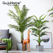 Nordic living room large floor-to-ground indoor coffee shop simulation bonsai green plant ornaments scattered tailed sunflower plant potted plants