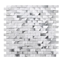 Серебряная летающая дуга