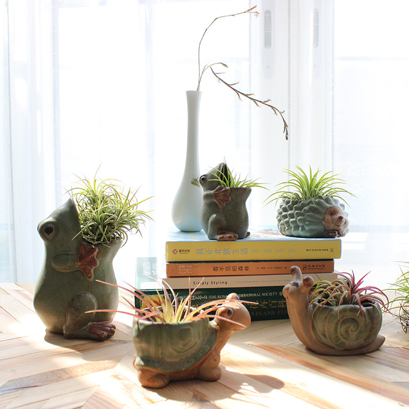 Air Pineapple Plant Combined Pot Ceramic Worktable Landless Plants Indoor Meat Package Green Plant