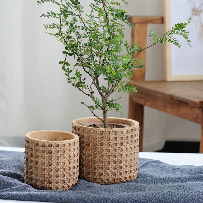 Nordic style retro cement flower pots Mediterranean indoor potted plants Chinese style home individuality creative green basin instrumental