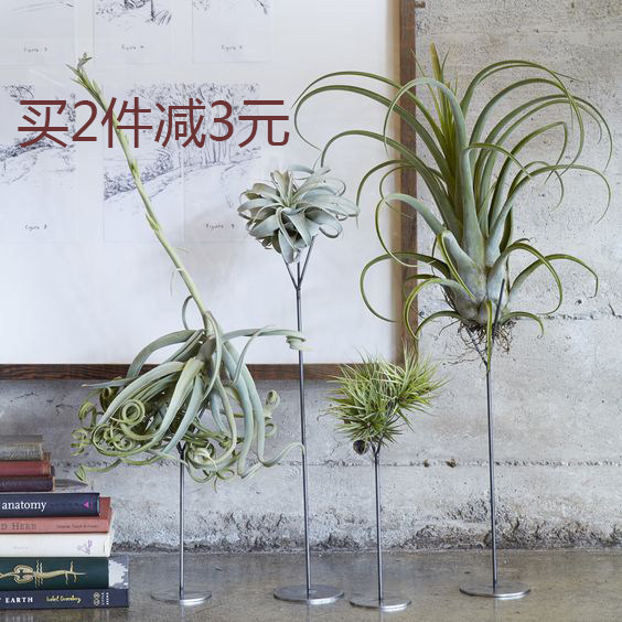 Nordic retro American air phoenix pineapple creative flower shelf flower pots table swing table green plant without soil potted iron art promotion