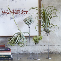 Nordic retro American air pineapple creative flower stand flower pot desktop table green plant soil-free pot iron promotion