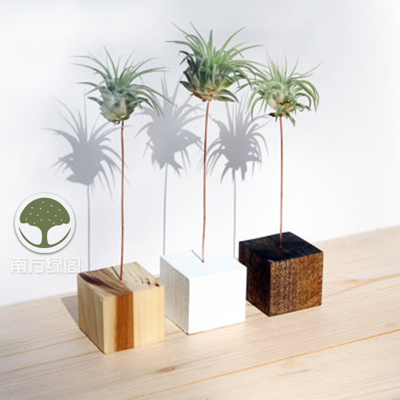 Air Pineal Flower Pots Flower Shelf Bracket Flowers Nursery Air Iron Land Creativity Green Plant Floral Tabletop Microscape