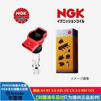 Audi A4 A6L 2 8 3 0 engine high performance NGK red head U5013 ignition coil high voltage package