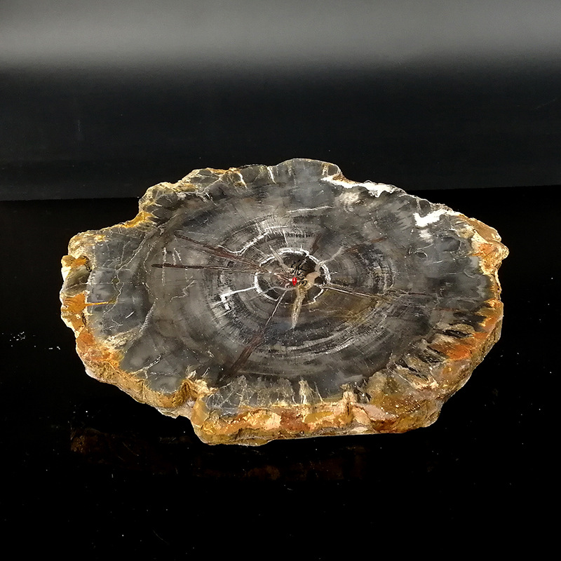 Natural Wood Fossil Landscape Sheet Swing Piece Clip Bookware Cup Cushion Ore specimen Home Decorative Pendulum piece of art Customized