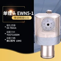 EWN5-1(53-70)