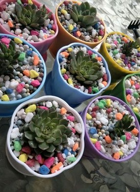 Màu đá nhỏ, đá cuội, đá mưa, ceramsite, đá màu, lát thịt, trồng đá, vật dụng làm vườn trang trí bình tưới cây cảnh