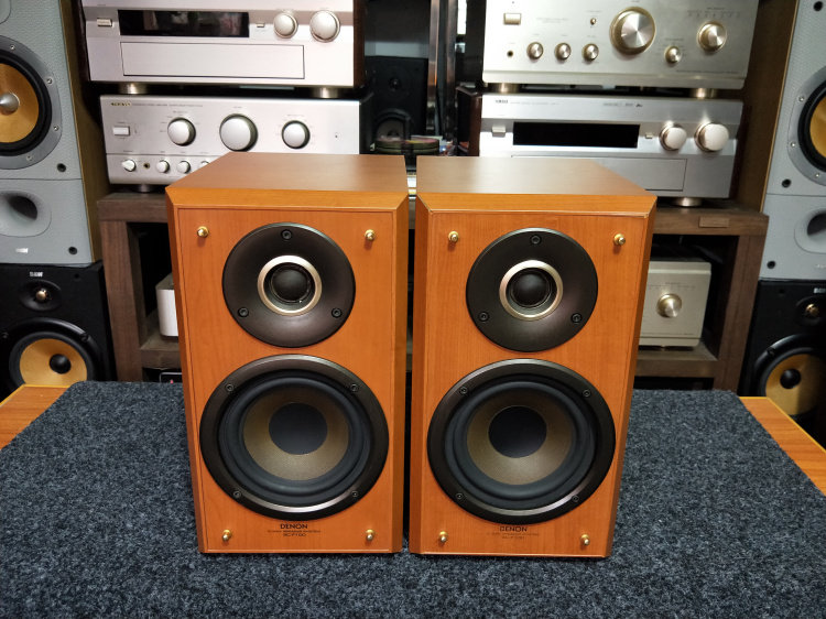 Original Installed Speaker Sky Dragon SC-F100 Speaker Upscale Bookcase Box