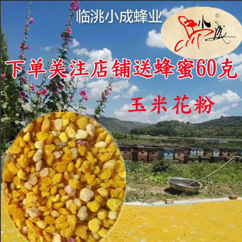 Horses small to bee field self-produced corn bee pollen natural edible sieved and dry clean not sweet and unbroken
