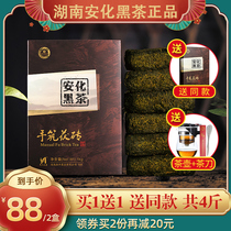 Anhua Black Tea Hunan Anhua Anhua Black Tea authentic Jinhua Fu brick tea hand-built Anhua Fu Tea Xiangfeng