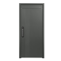 WL Wangli Class A security anti-theft door entry door smart door lock sub-mother door home door GL122Z