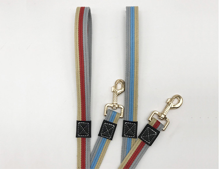 Leash Close-up