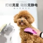 Pet chải lông chó chải kim chải lông chó chải mèo Teddy chó lông vàng tẩy lông lược làm đẹp cung cấp lược chải lông thỏ	