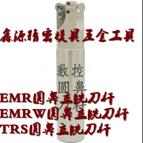 EMRW round nose milling tool Rod high precision White hardened milling tool Rod EMRW C25-6R32-150-2T C25 32