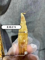 350 head small baremouth fish gum sitting for a month complet with maternal qi and blood deep sea fishermen self-basking without adding 500 gr