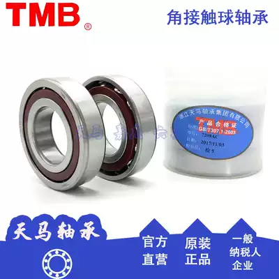 Tianma Corner Contact Ball Motor Water Pump Machine Tool Bearing 7200 7201 7202 7203 7204 7205 AC