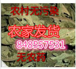 Chinese herbal medicine dried papaya leaf papaya leaf dried papaya leaf dried papaya leaf tea fresh stock