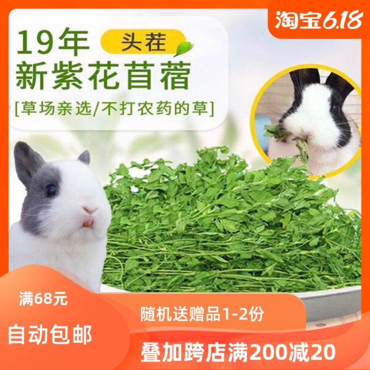 2021 new grass to be listed fresh purple flower clover grass drying clover grass 1KG boxes of dried grass Tuguinea pig dragon cat pasta