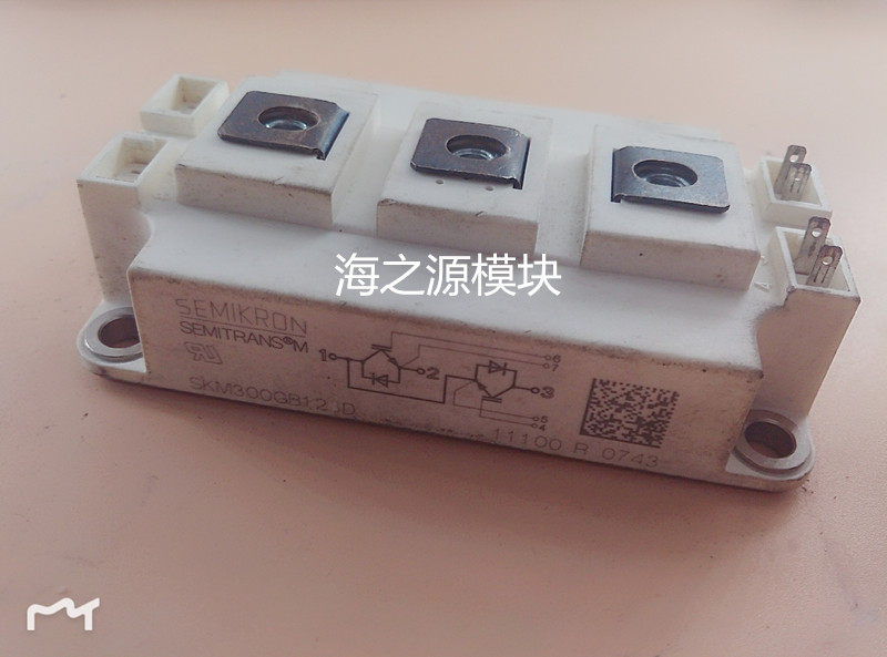 SKM300GB123D SKM300GB123D SKM400GB124D 128D 125D 125D the SKM300GB123D SKM400GB124D