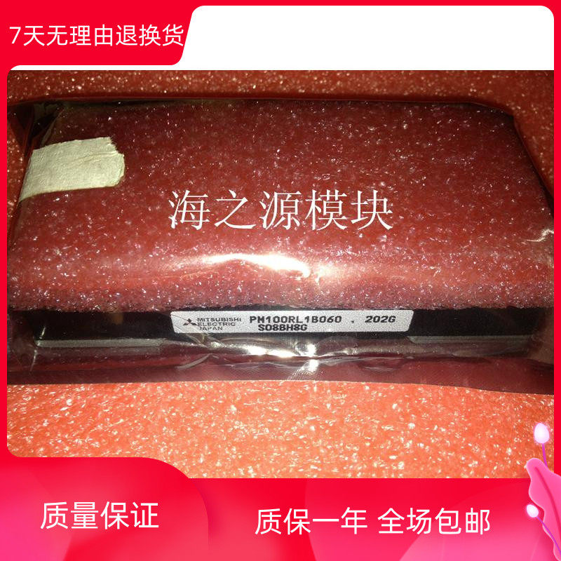 PM100RL060 PM100RL1B060