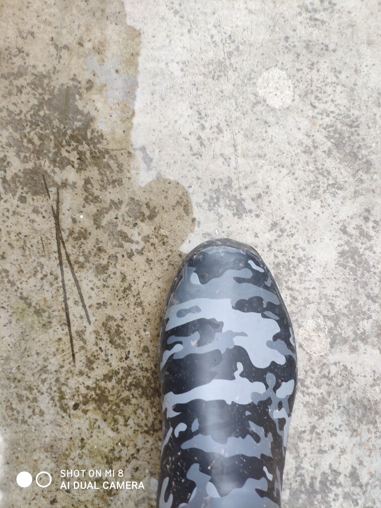 梅雨来临，未雨绸缪。这个牌子怎么样好用吗，使用测评（网红推荐）_搜券