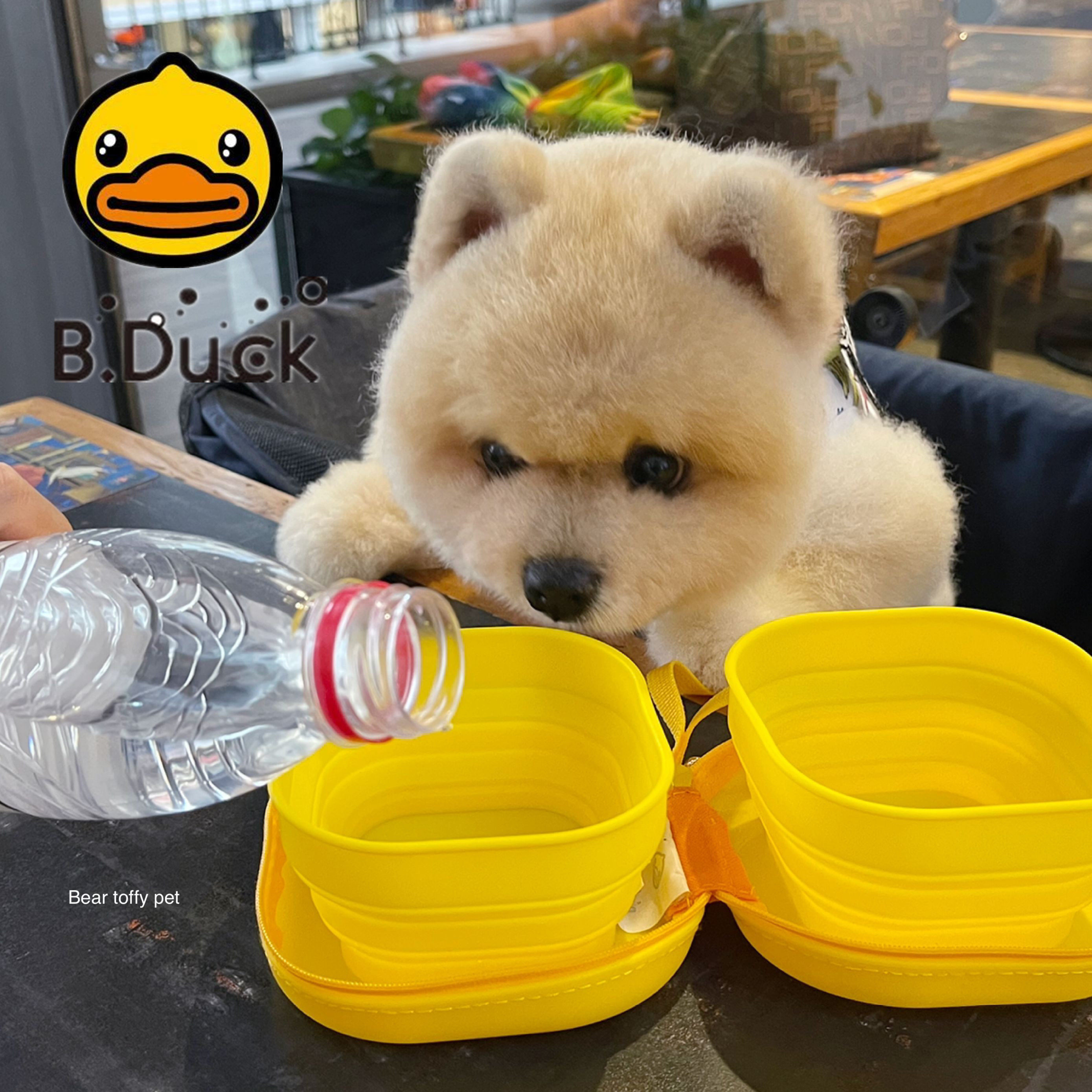 Beartoff Pet authorizes pet cat and dog bowl to go out portable kettle folding along with dog grain basin