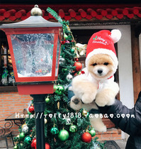 Beartoffypet exports pet accessories cats and dogs selling cute posing party warm hats Christmas hats plush hats
