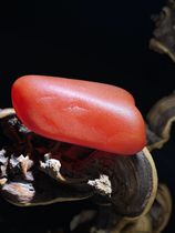 Xinjiang Gobi Stones Raw Stones Colored Stones Home Decorations