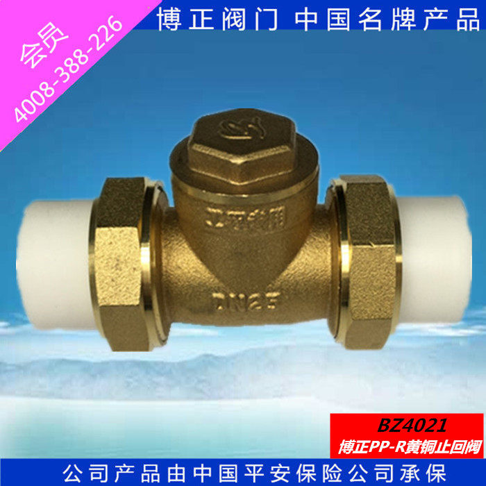 ppr check valve horizontal check valve PPR copper check valve BZ4021