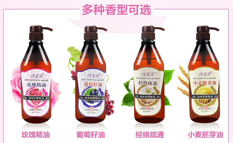 Thẩm mỹ viện dầu đặc biệt massage cơ thể tăng hông dầu mở trở lại tinh dầu massage dầu đẩy trở lại cơ thể dầu cạo - Tinh dầu điều trị
