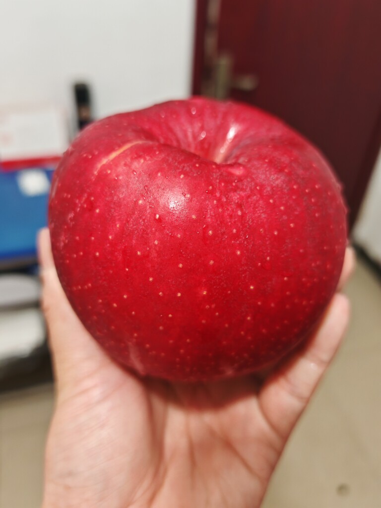 重生之我在网上卖手机壳