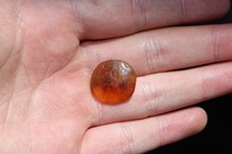 Collection de jeux anciens du Qing Dynasty Amber Button 1702