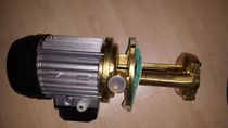 Germany SPECK water pump TP-401 110 0031