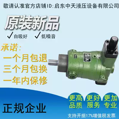 Factory direct sales of high-quality, high-efficiency and low noise 40YCY 40YCY14-1B axial piston oil pump