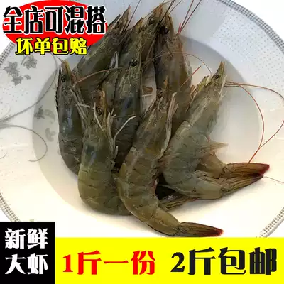 Sea shrimp Fresh sea fishing Wild shrimp Fresh seafood Deep-sea prawn base shrimp white shrimp live shrimp Green shrimp prawn