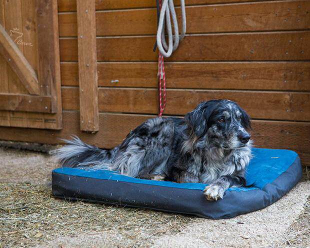 Officially authorized American Roughwell RW Metropolis soft and comfortable bed warm kennel easy to clean moisture-proof dog pad