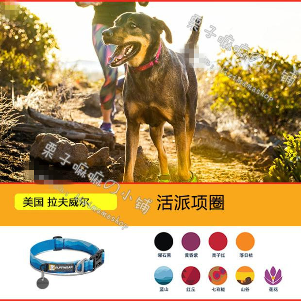 American Lovewell Live Pie Dog Collar Soft and Durable 9 Colors (Hoopie) 2017 Autumn/Winter New Products
