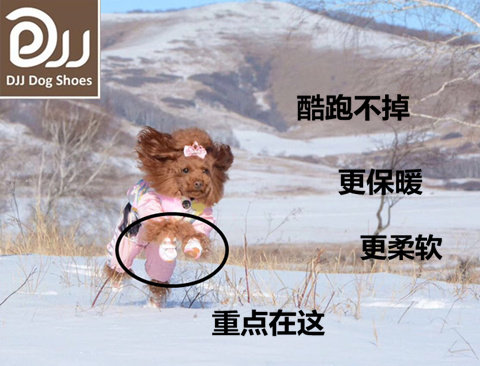 Two DJJ autumn and winter plus velvet dog shoes thick cotton shoes small dog teddy bear warm and non-slip can not fall off shoes