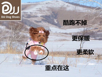 Two packs of DJJ autumn and winter plus velvet dog shoes thickened cotton shoes small dog teddy bear warm non-slip not to drop shoes