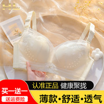 Happy Fox Lingerie Summer Thin Ladies Breathable Poly-Comfortable Without Steel Ring Anti-Sagging Bra Hood White