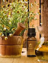 Xinjiang Yili Gangs Princess Roman Chamomile Essential Oil Soothing and Relieving Red Blood