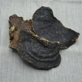 Тонкая деревья -редька тонкая покровная ганодерма lucidum ganoderma lucidum ganoderma lucidum linzhi сухой специальные сухие товары 250 г можно нарезать