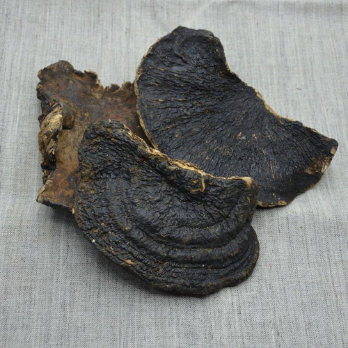 Тонкая деревья -редька тонкая покровная ганодерма lucidum ganoderma lucidum ganoderma lucidum linzhi сухой специальные сухие товары 250 г можно нарезать