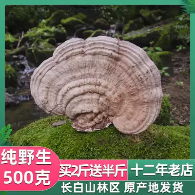 Wild Ganoderma Lucidum Changbai Mountain Natural flat cover Ganoderma Lucidum Tree tongue Ganoderma Lucidum Linzhi Free dicing and powdering 500g