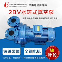 2BV water ring vacuum pump 2061 2070 5110 5121 5131 iron copper stainless steel impeller